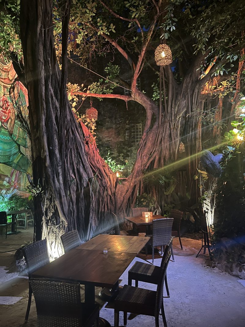 The lit banyan-tree terrace at night