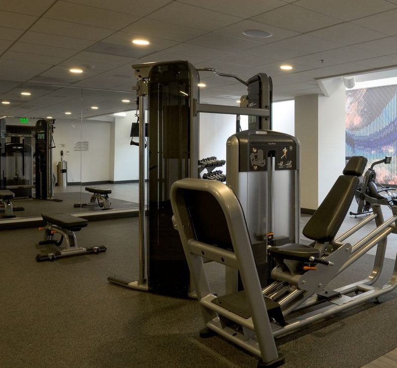 A modern gym with weight machines