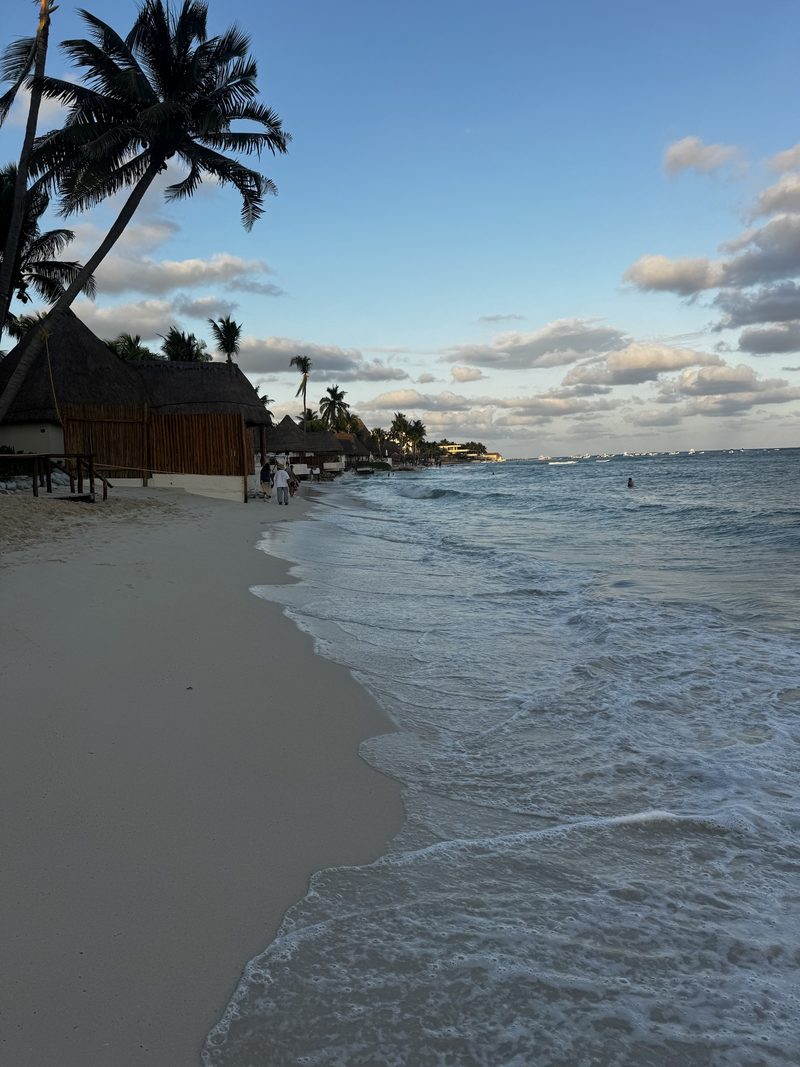 Palms and palapas along the beach, with a clear blue sky