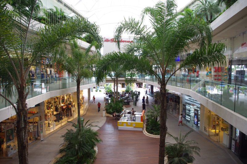 Two levels of shops around a wood-decked walkway with tall palms, seen from an upper balcony
