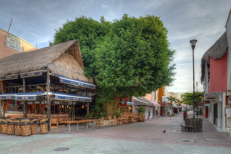 Open-air restaurant with a thatched palapa roof and wooden equipal chairs beside a large green tree on a quiet stretch of 5th Avenue