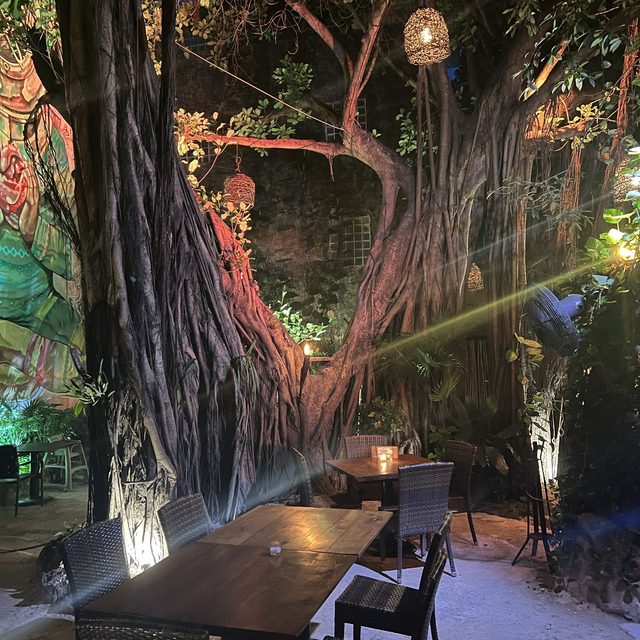 La terraza del árbol iluminada de noche