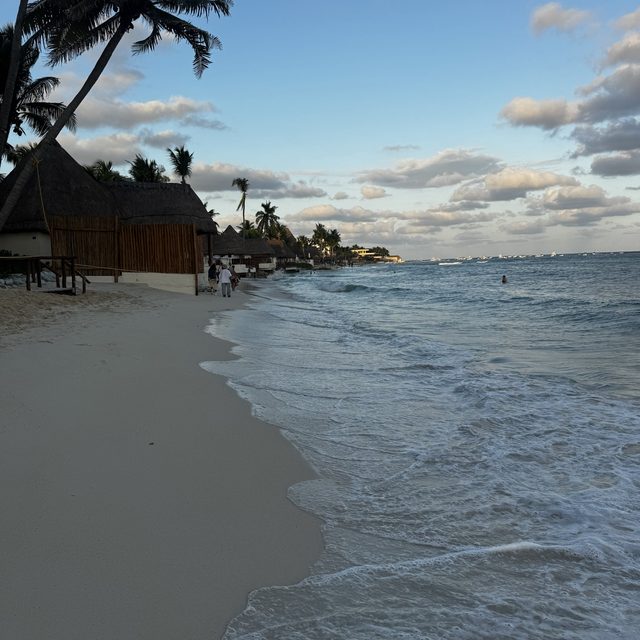 Palmeras y palapas en la playa, con el cielo despejado