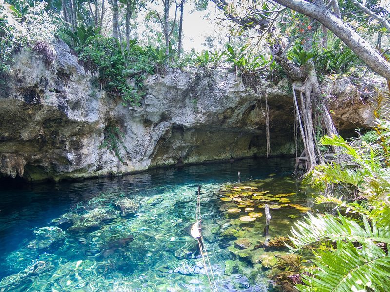 A cenote in Quintana Roo