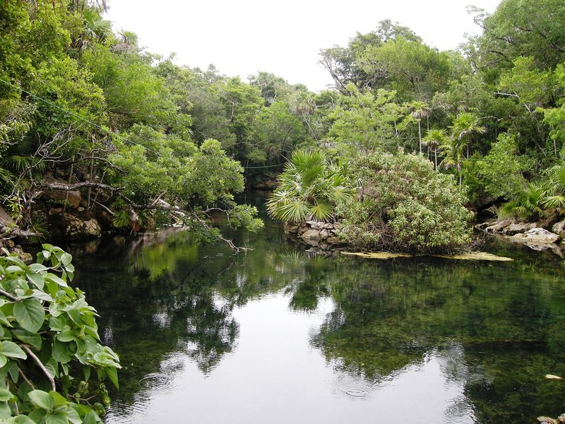 A lagoon at Xel-Ha, Quintana Roo
